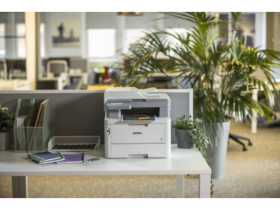 fcl_smb_lifestyle_selects_8