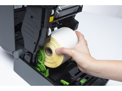 td4_high_step_studio_148