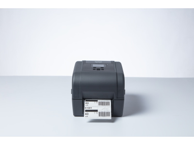 td4_high_step_studio_46